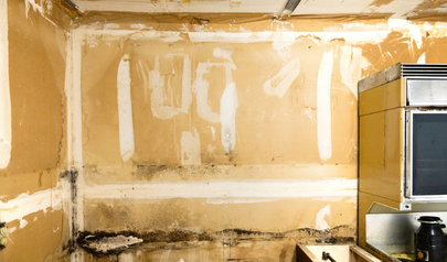 Reliable Mold Inspection in Johns Creek by AdvantaClean