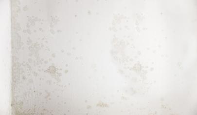 Mold Removal in Norcross Explained