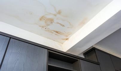AdvantaClean: Leading Mold Remediation Contractor in Buford