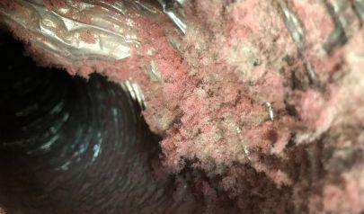 Breathe Easier: Unlocking the Benefits of Professional Air Duct Cleaning