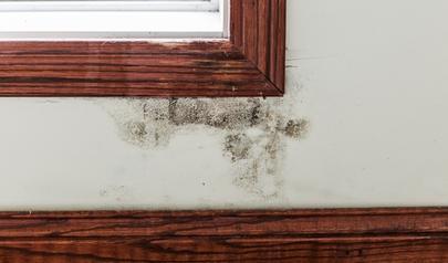 AdvantaClean Delivers Comprehensive Marietta Mold Remediation