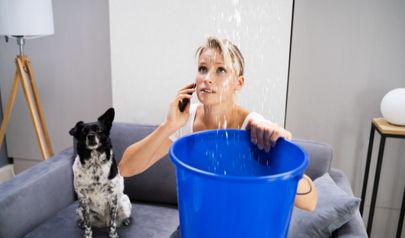 Why Water Mitigation Matters in Dunwoody Properties