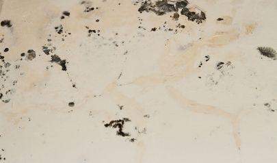 Mold Inspection for Your Sandy Springs Property