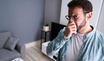 Home Odor Removal Guide
