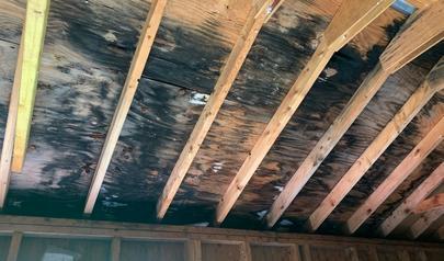 Mold Inspections for Kennesaw Homes