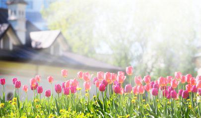 How Spring Weather Can Cause Mold: Understanding the Problem