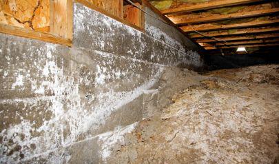 Landscaping Issues and Water Damage Under Your Home