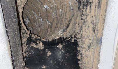 Understanding Mold Removal in Kennesaw Properties