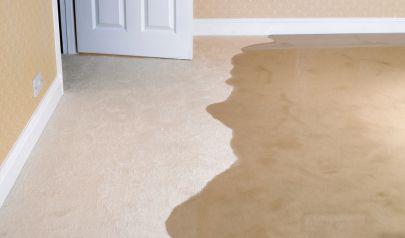 Revolutionizing Water Damage Restoration in Sandy Springs
