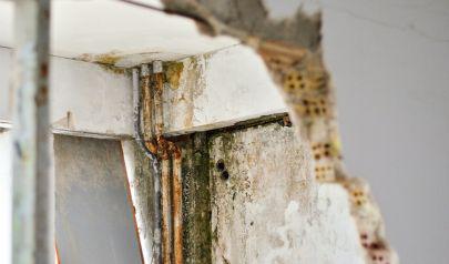 Choosing a Mold Remediation Approach for Your Dunwoody Home