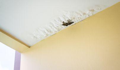 Rock Hill Residents – How to Handle Ceiling Water Damage