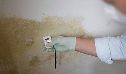Schedule a Mold Inspection in Kennesaw