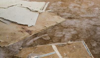 Norcross Water Damage Restoration - Get an Accurate Estimate