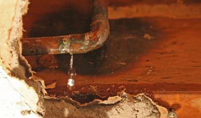 Role of Water Mitigation in Cumming Damage Restoration
