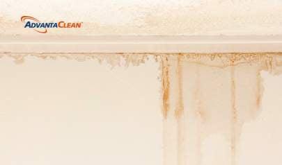 When You're Treading Water in Winston Salem NC - Call AdvantaClean