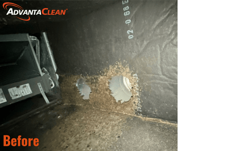 Case Study Description