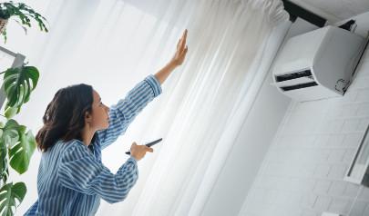 Pets and HVAC: there's cat and dog dander in the duct