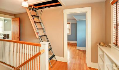 Causes of Attic Mold : 4 Potential Sources