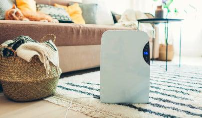 Summer Dehumidifier Guide