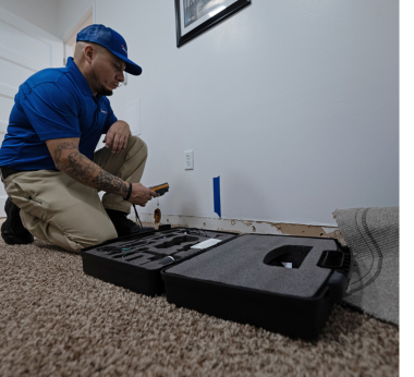 basement mold remediation