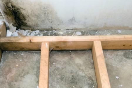 Basement or crawlspace flood cleanup in Oakland Park: Timelines and costs