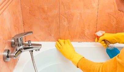 Tips to Prevent Bathroom Mold