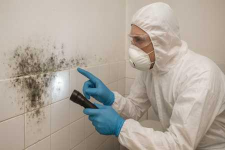 Black Mold Inspection in Coconut Creek: When to Call a Professional