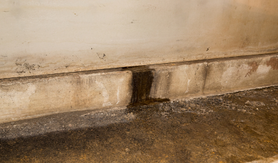 Why Your Bothell Crawl Space is a Hotspot for Hidden Mold