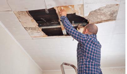 Can A Building Be Condemned For Mold?