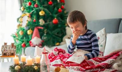 Christmas Tree Mold: 5 Tips to Reduce the Effects