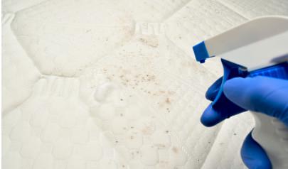 Do It Yourself Mold Removal