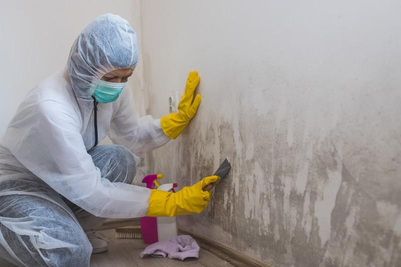cleaning-mold-on-wall.jpg
