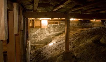 Do I Really Need a Dehumidifier in My Crawl Space?