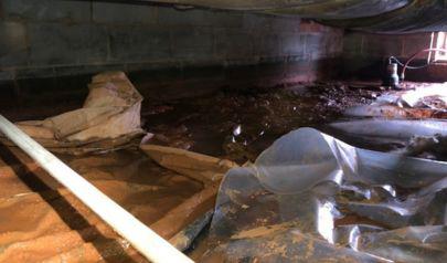 Crawl Water Intrusion