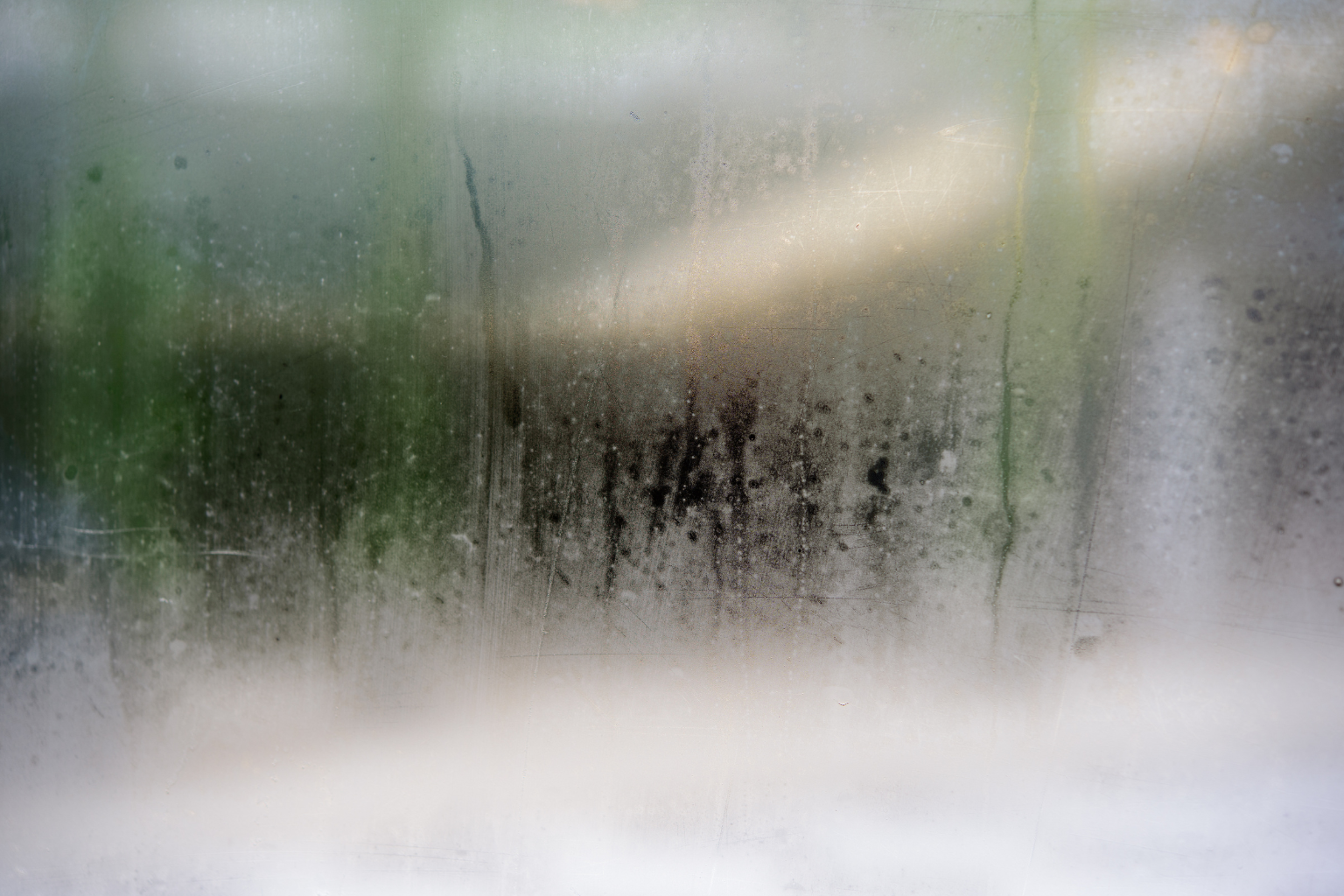 Dehumidifier Essentials for Summer