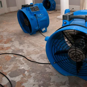 Water Damage & Restoration
