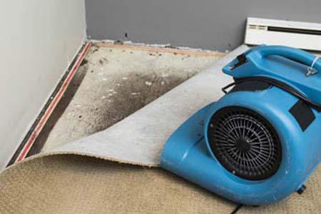 Does water damage cause mold? How to fix it.
