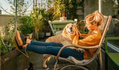 Pet Friendly Indoor Plants that Purify the Air