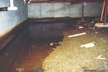 Emergency Response: Immediate Steps After Water Damage