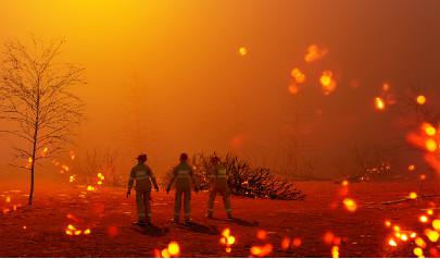 FireMD.jpg