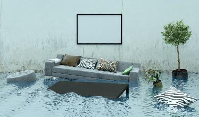 How Do I Choose Which Water Damage Company to Use?