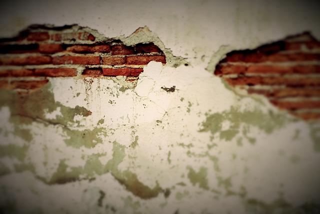 Can You Get Rid of Mold without Tearing Down Walls?