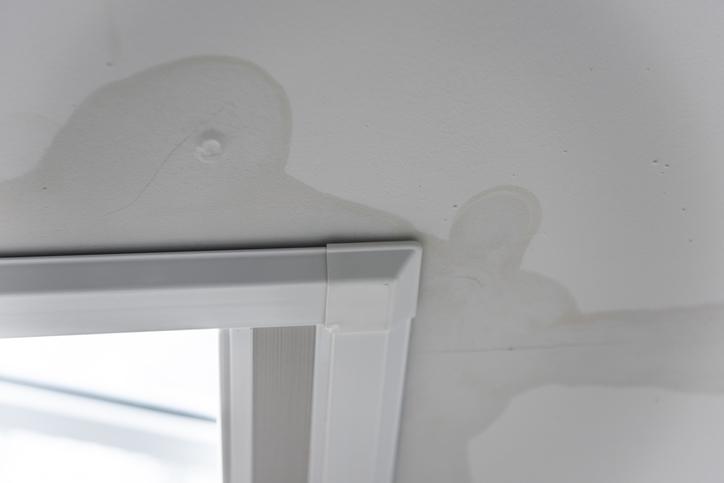 Find and Manage Hidden Moisture Intrusion in Marietta Properties