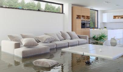 How to Locate your Main Water Shut Off Valve