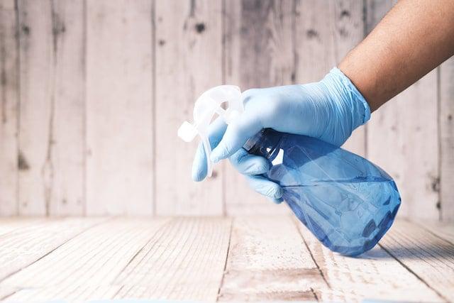 How Do I Know What Kind of Mold I Have?