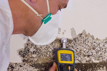How long does it take to get sick from mold exposure?