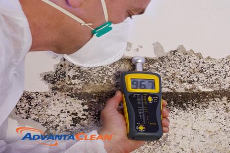 How to Ensure Your Home is Mold-Free After Mold Remediation