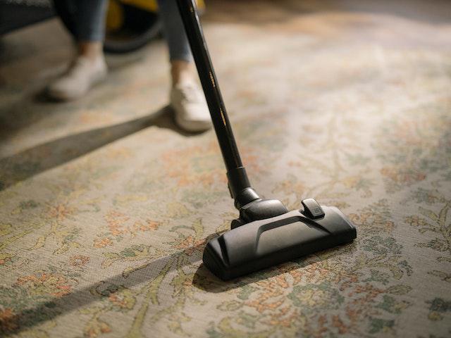 How to Prevent and Remove Carpet Mold
