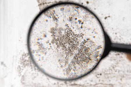 How to Prevent Mold in Closets in 2023