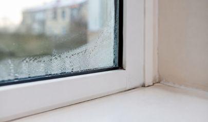 Hurricane Humidity Problems Homeowners Might Overlook